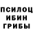 Галлюциногенные грибы мухоморы SherbetGod