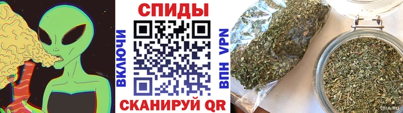 hydra как войти  Пугачёв  БУТИРАТ оксибутират  закладки 