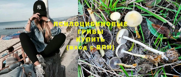 соль курить ск Алзамай
