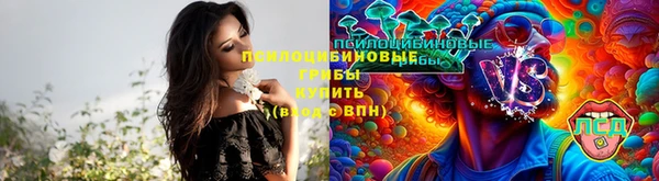 соль курить ск Алзамай